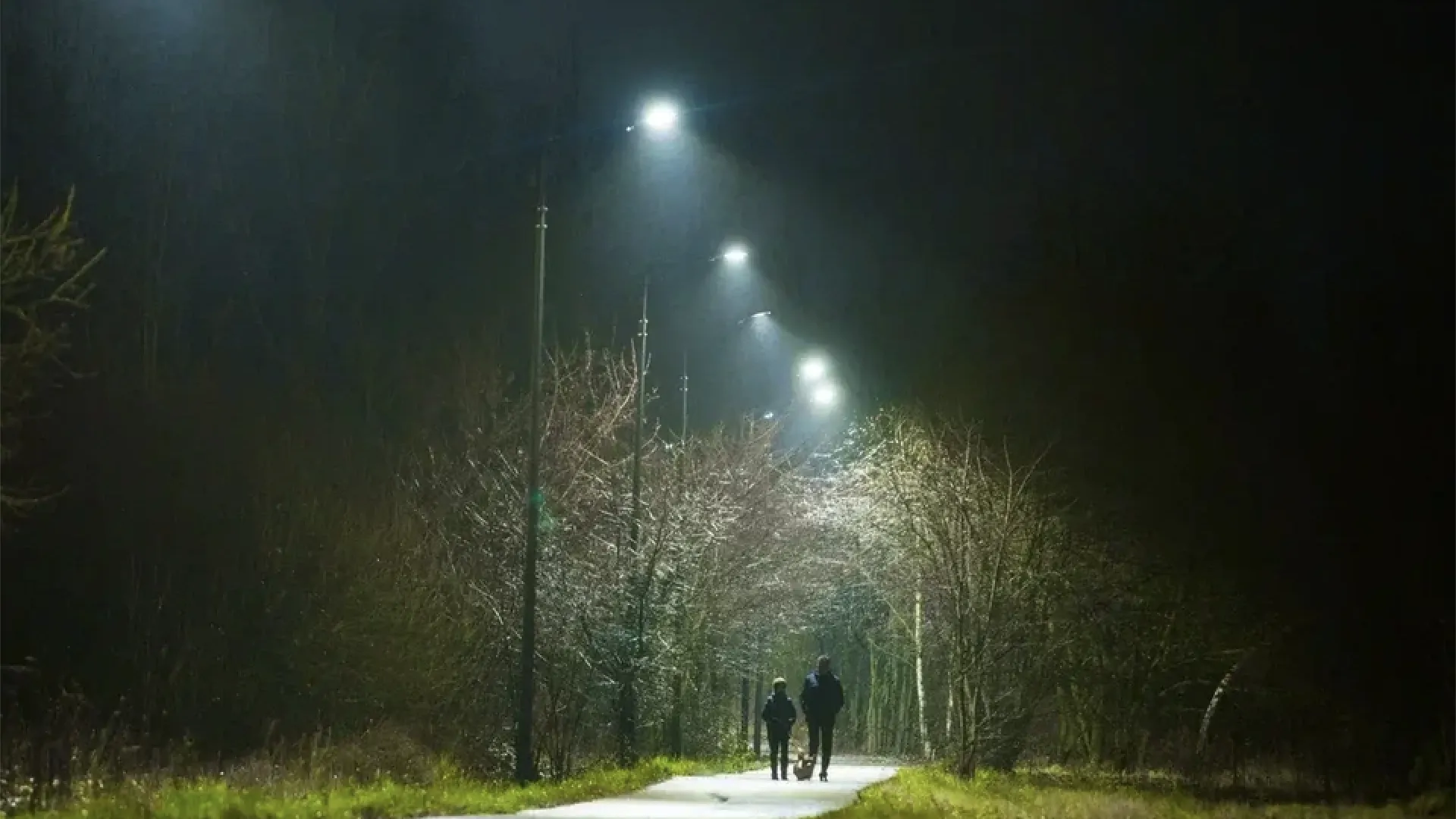 Фото: Министерство благоустройства Московской области