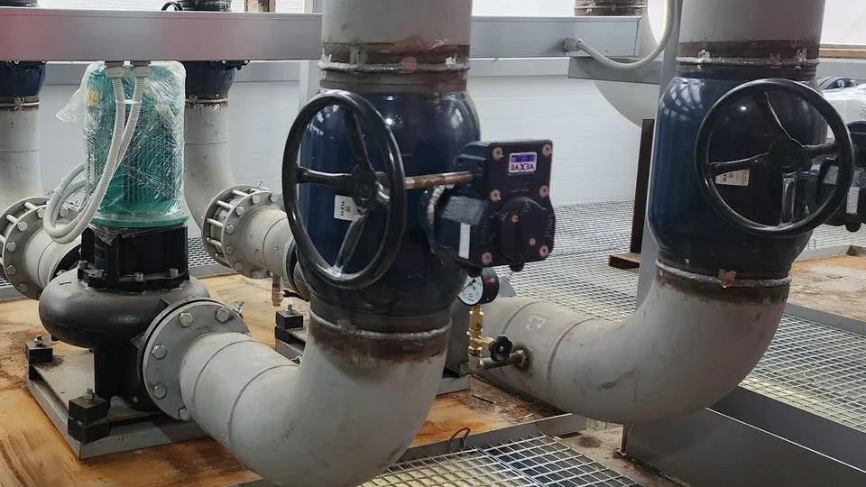 Фото: МедиаБанк Подмосковья/Ольга Шеметова