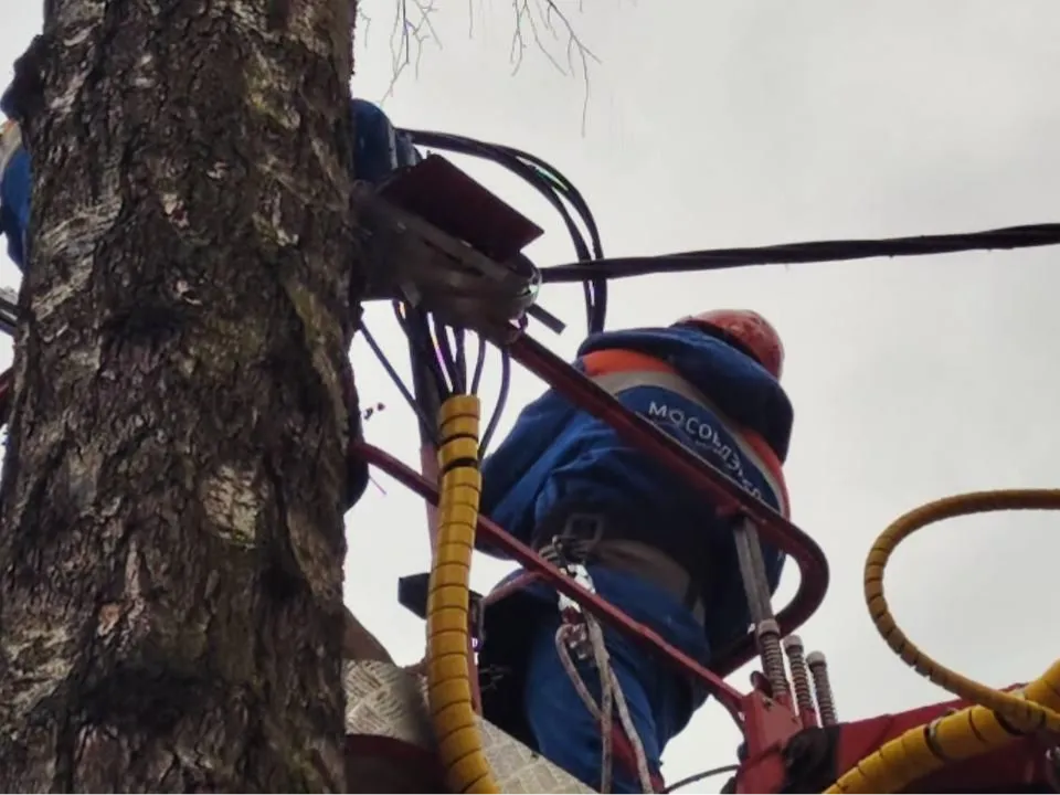 Фото: Министерство энергетики Московской области