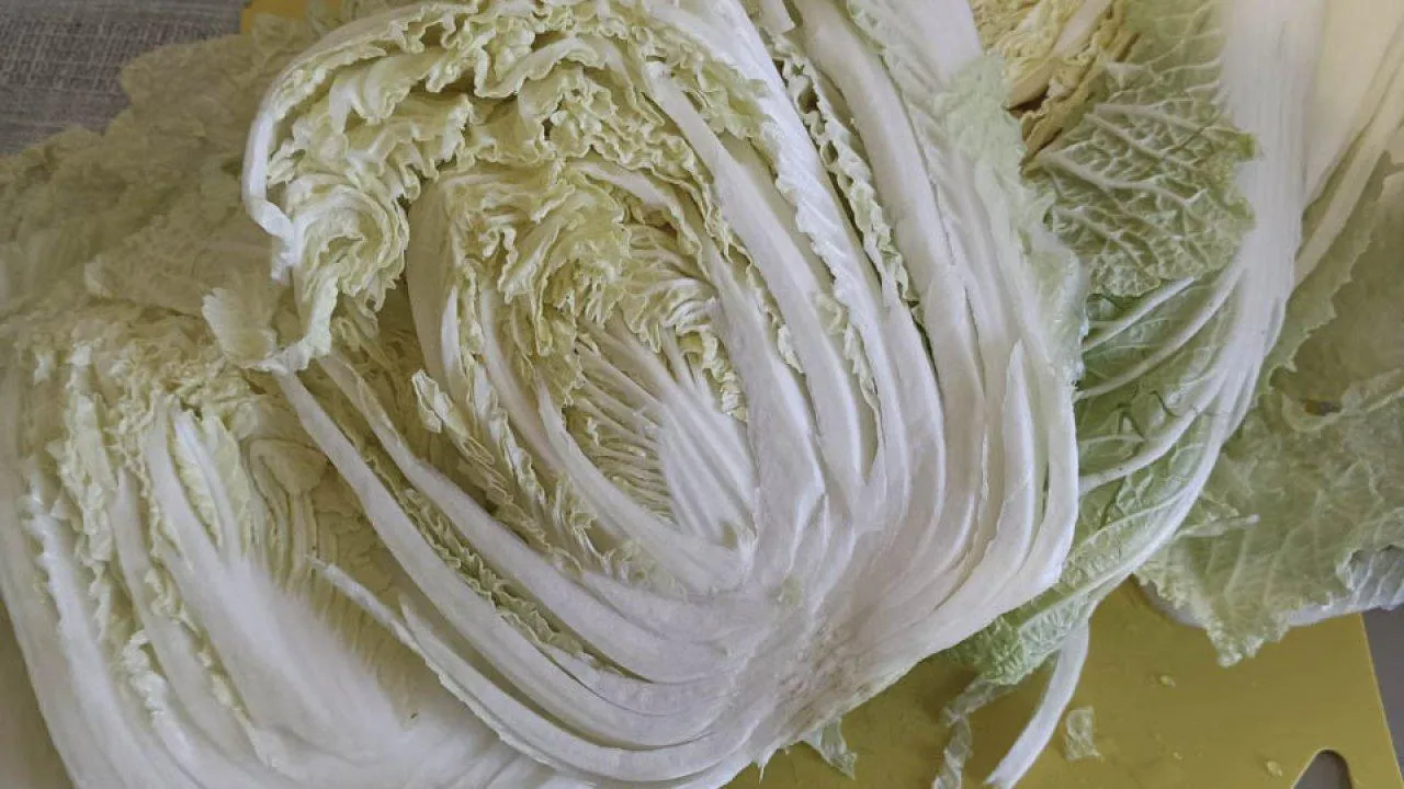 REGIONS/Ирина Горбачева