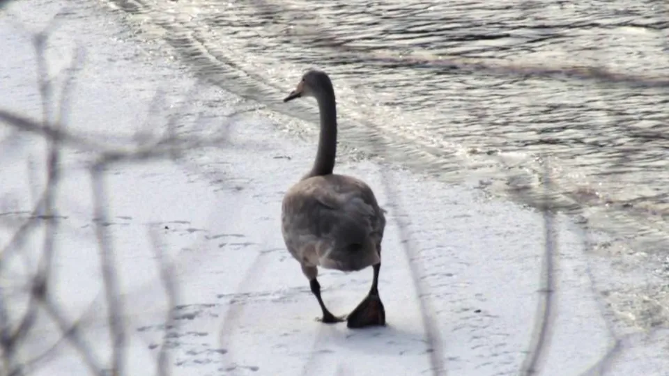 Фото: vk.com/Клуб «Гребни». Активный отдых в Зарайске