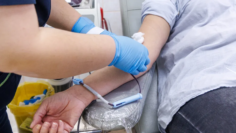 Фото: МедиаБанк Подмосковья/Наталья Лымарь