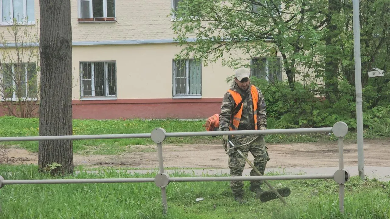 Картинка