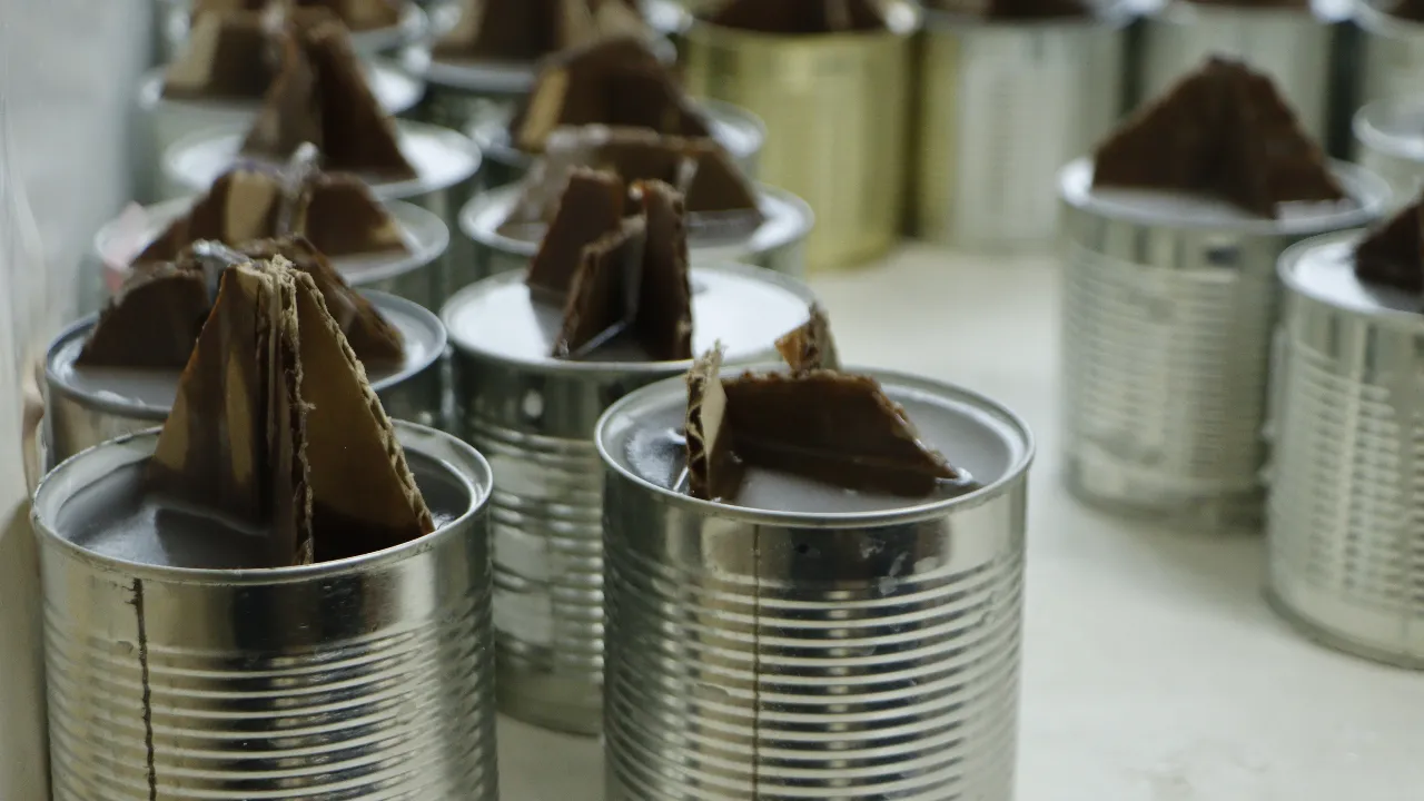 МедиаБанк Подмосковья/Татьяна Кострикина