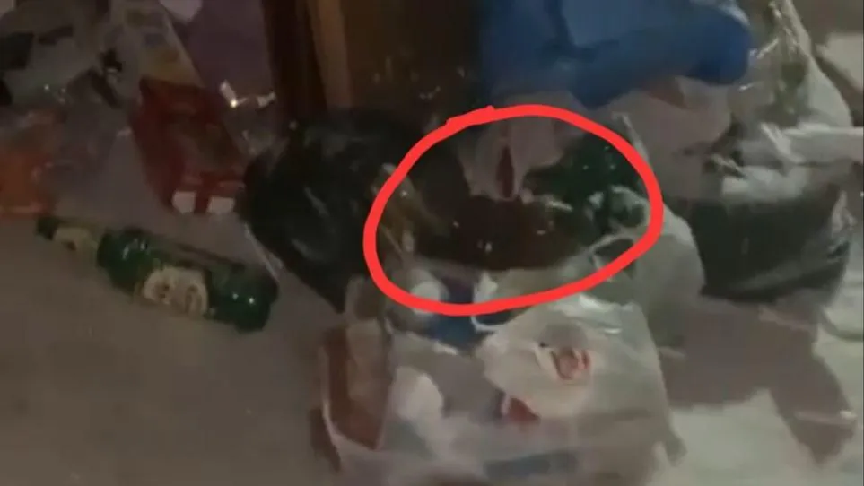 Социальные сети