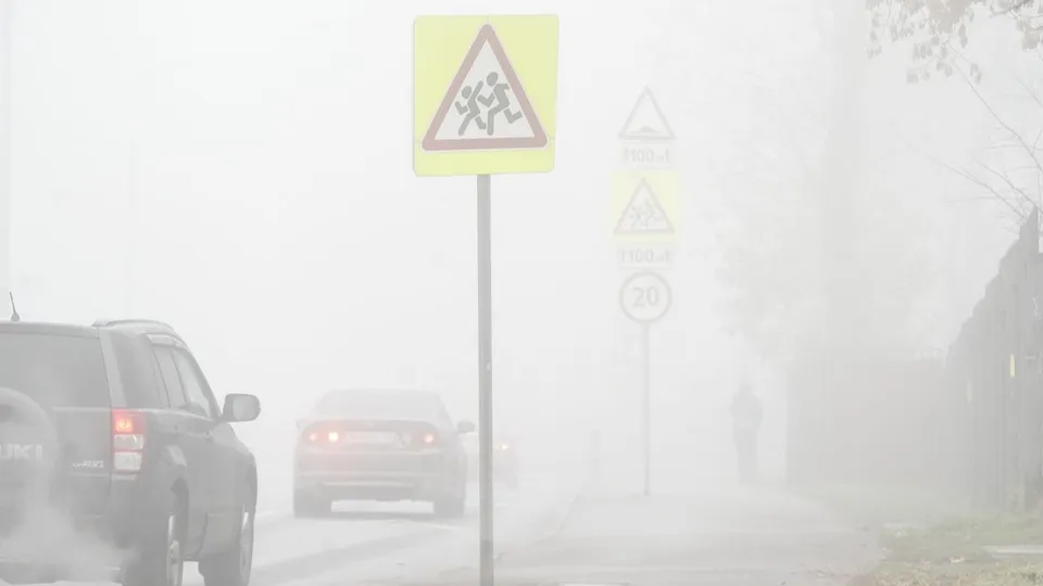 Фото: медиасток.рф