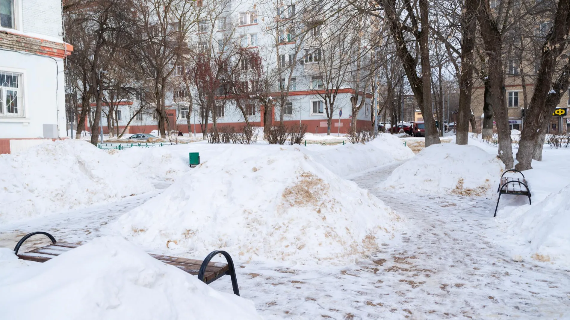 Фото: Владимир Думчев