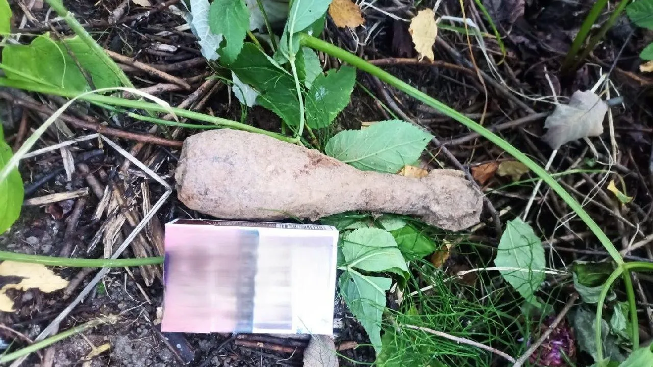 Фото: ГКУ МО «Мособлпожспас»