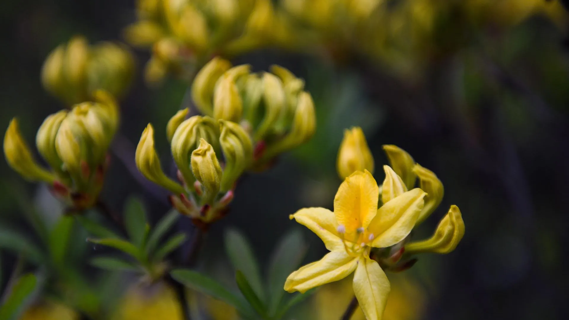 медиасток.рф