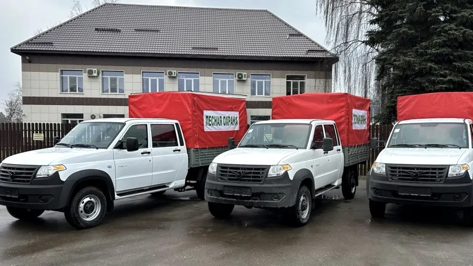 Фото: Комитет лесного хозяйства МО