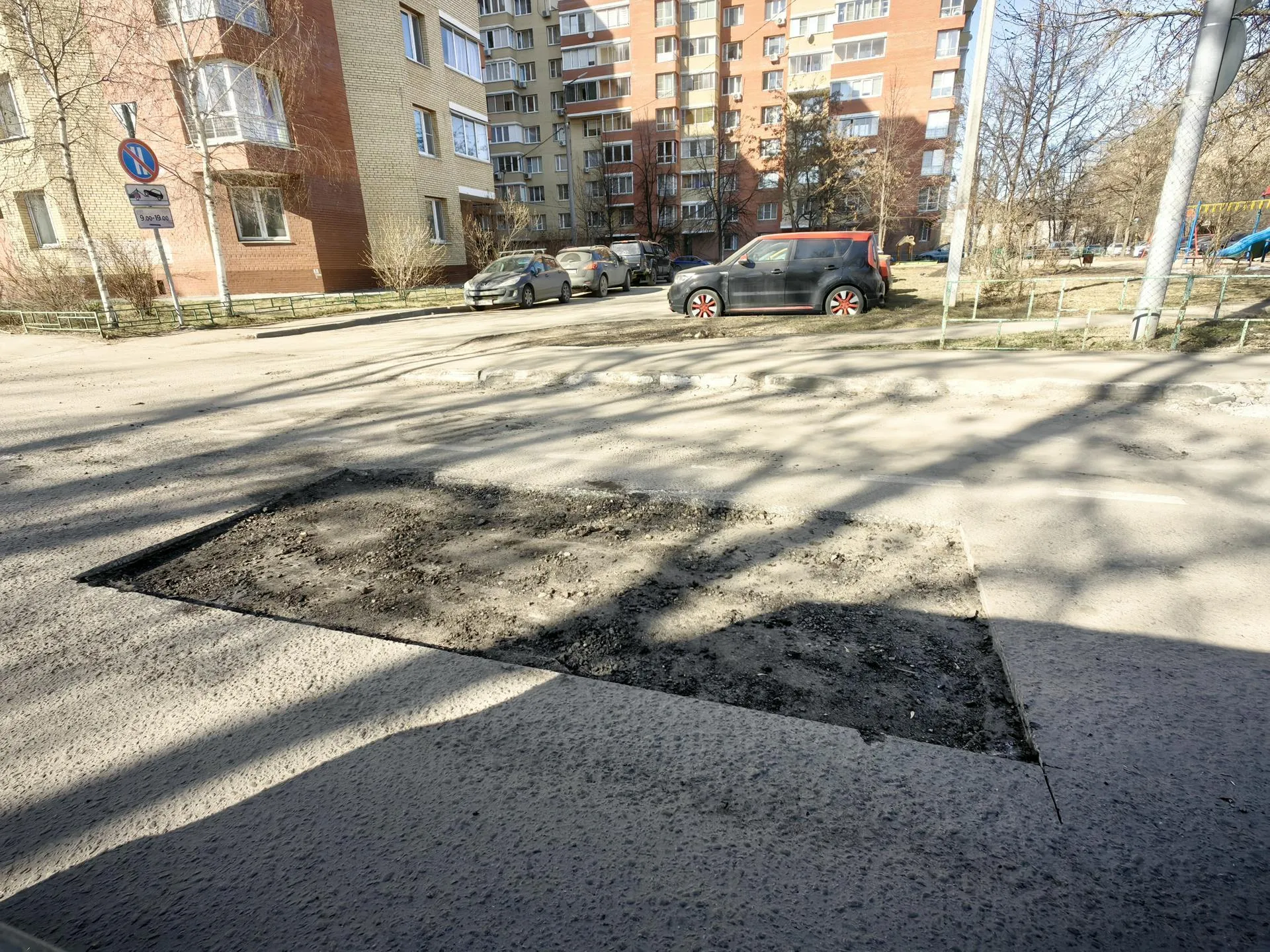 Елена Катасонова