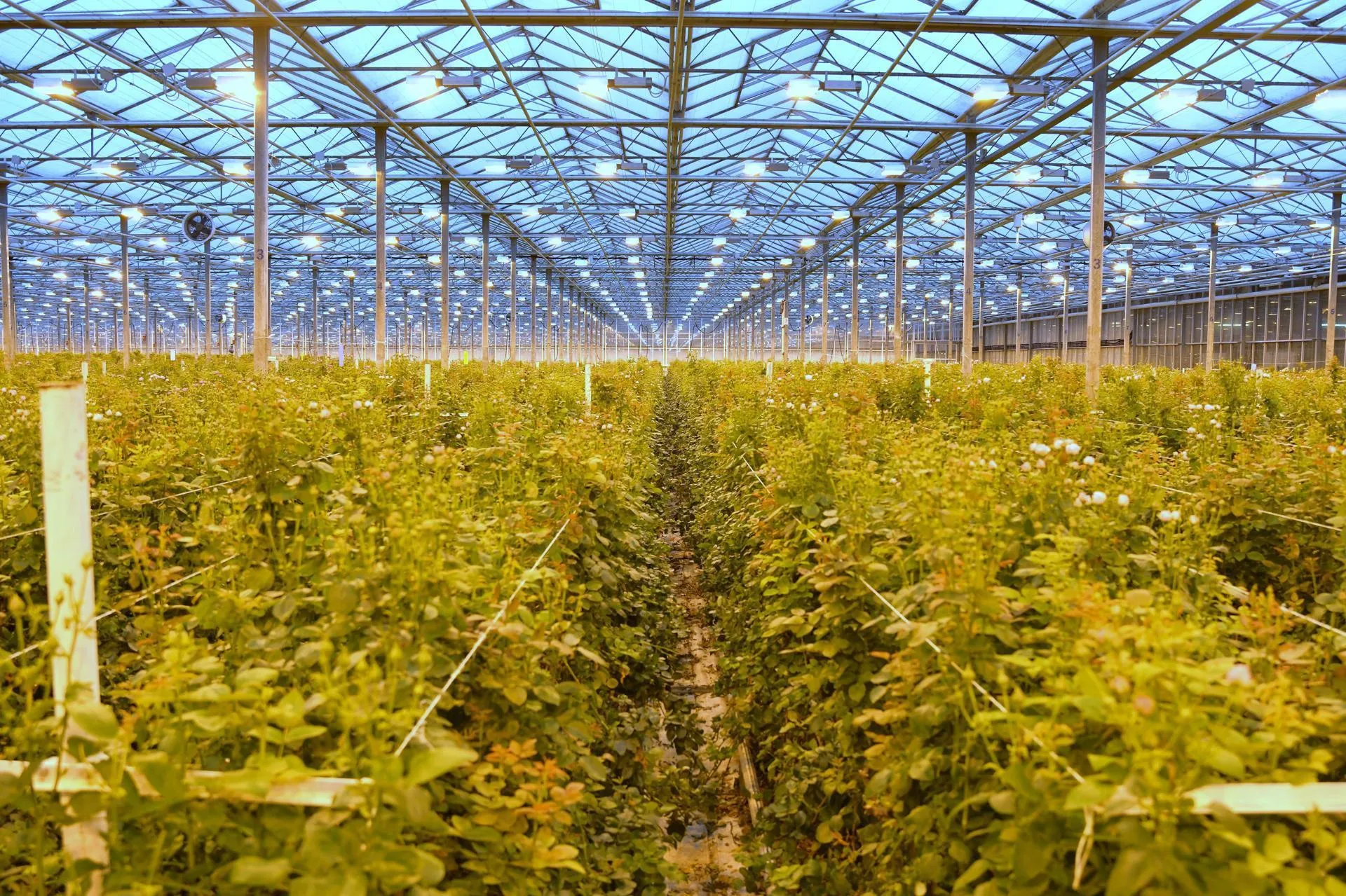 Пресс-служба администрации Дмитровского муниципального округа