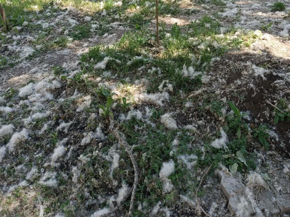 Фото: Наталья Фомина