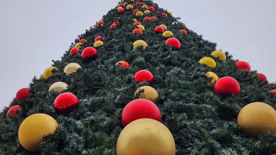 Фото: МедиаБанк Подмосковья/Роман Савельев