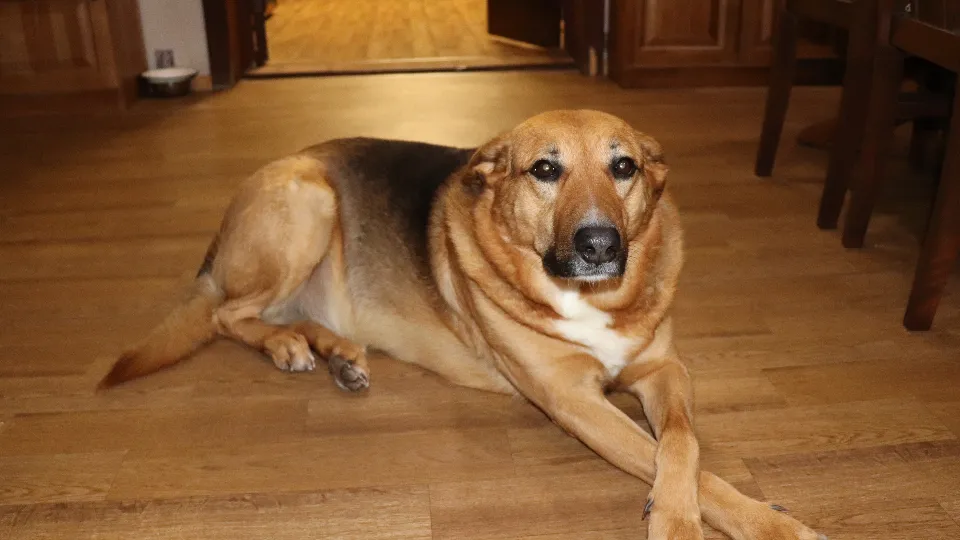 Фото: REGIONS/Василий Тремасов