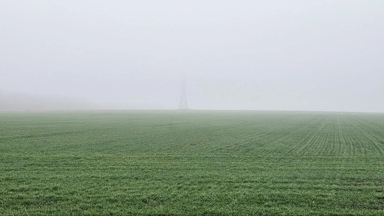 Агрохолдинг «ОСП агро»