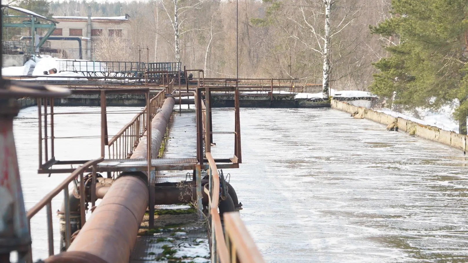 Алёна Притула