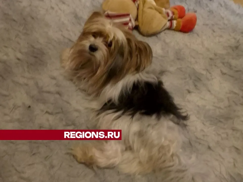 Фото: Александра Аксенова