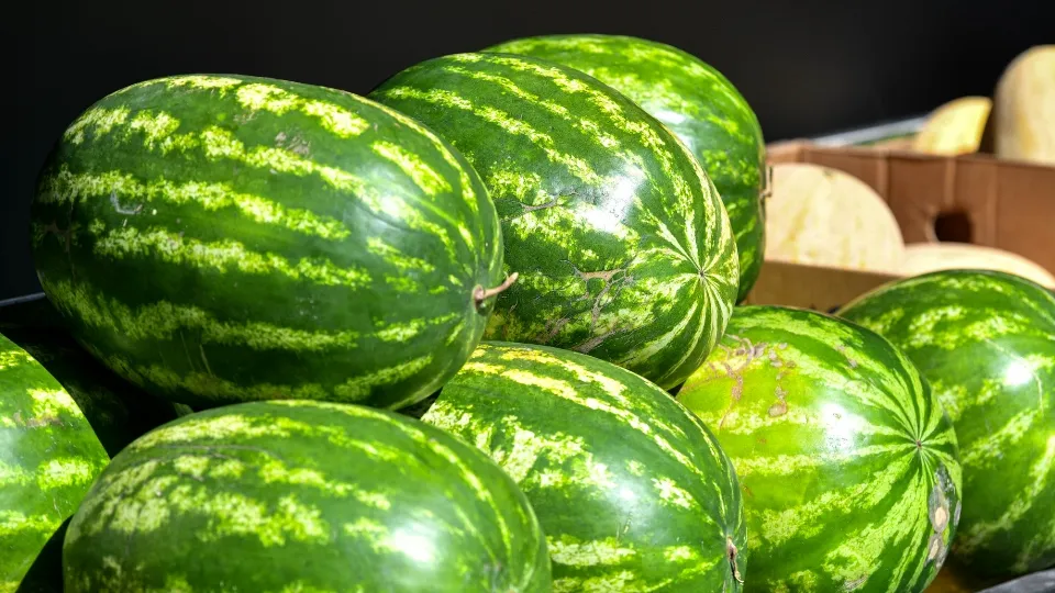 Фото: пресс-служба администрации г.о. Химки