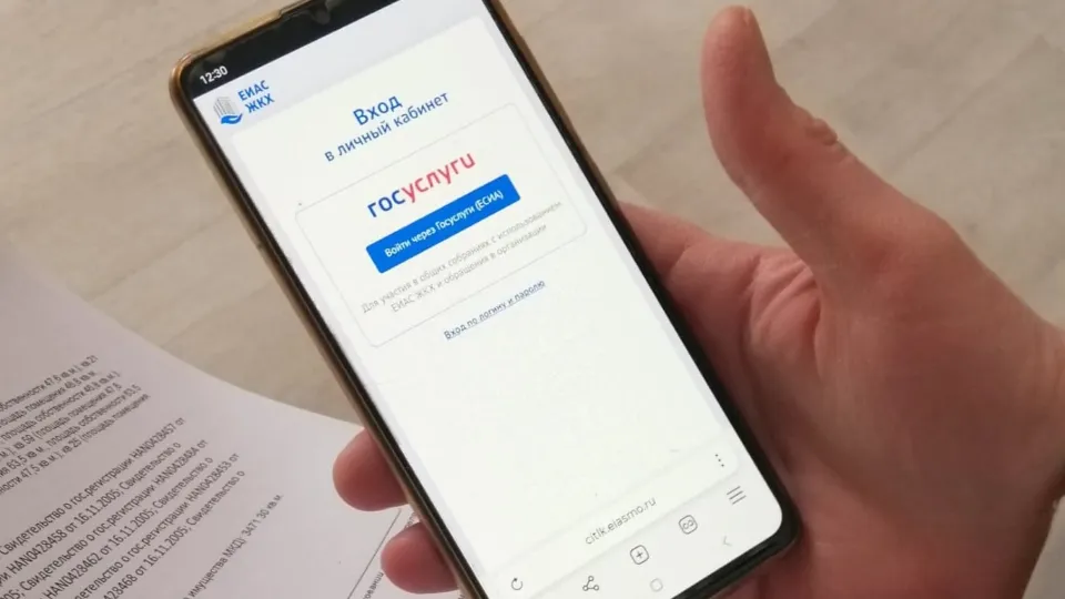 Фото: Медиабанк Подмосковья/Анастасия Новак