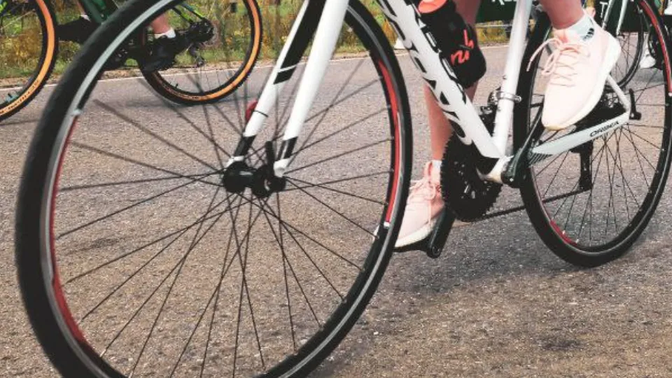 Фото: МедиаБанк Подмосковья/Мария Панина