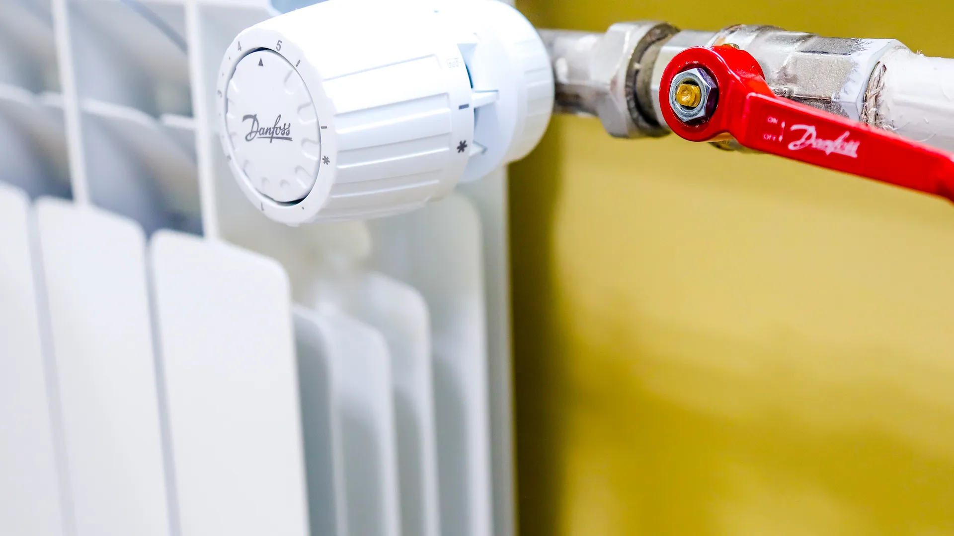 Анна Реппель