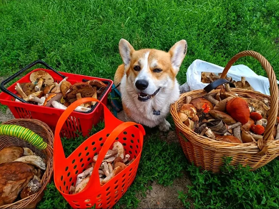 Фото: личный архив Юлии Репиной