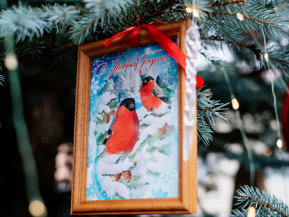 Фото: психиатрическая больница № 3 имени Т. Б. Дмитриевой