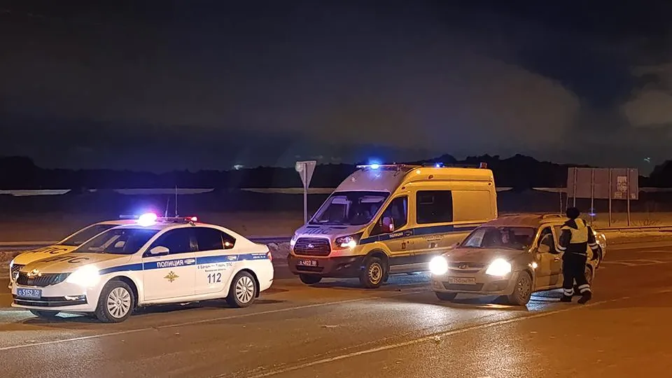 Фото: МедиаБанк Подмосковья/Ольга Антонова