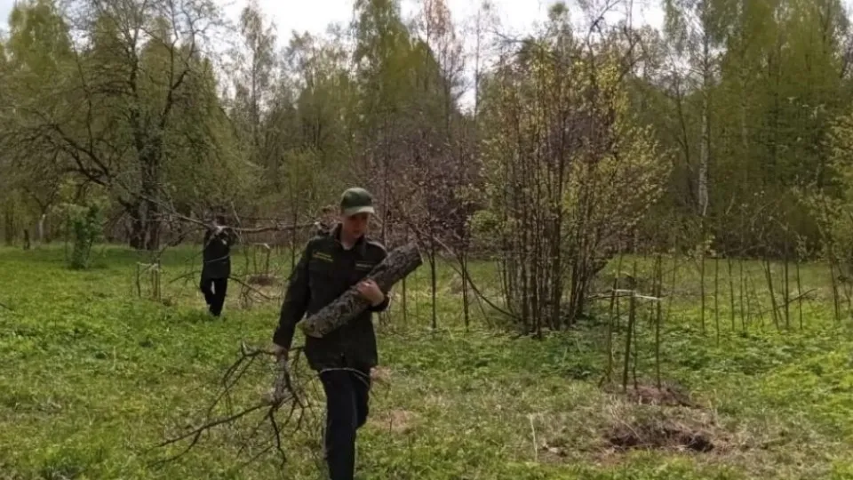 Фото: Комитет лесного хозяйства Московской области