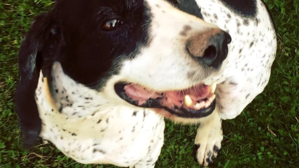 Фото: REGIONS/Илья Попов