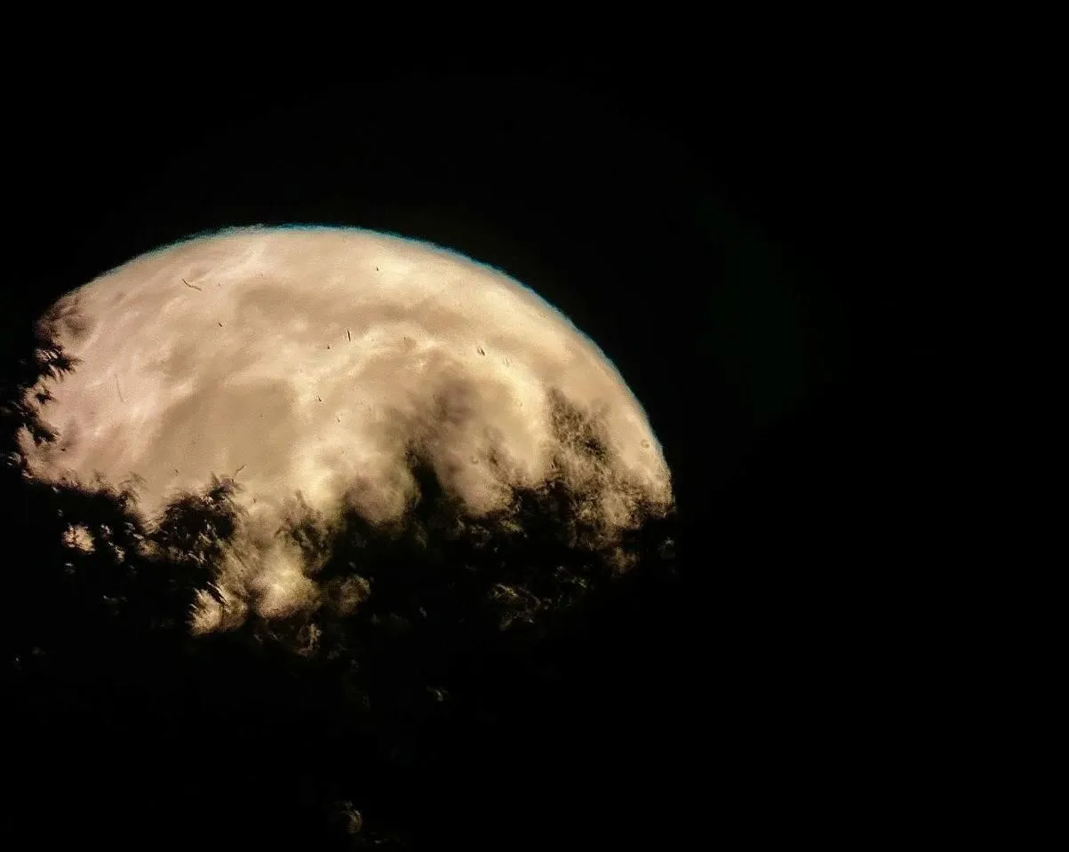 Фото: пресс-служба администрации Можайского городского округа