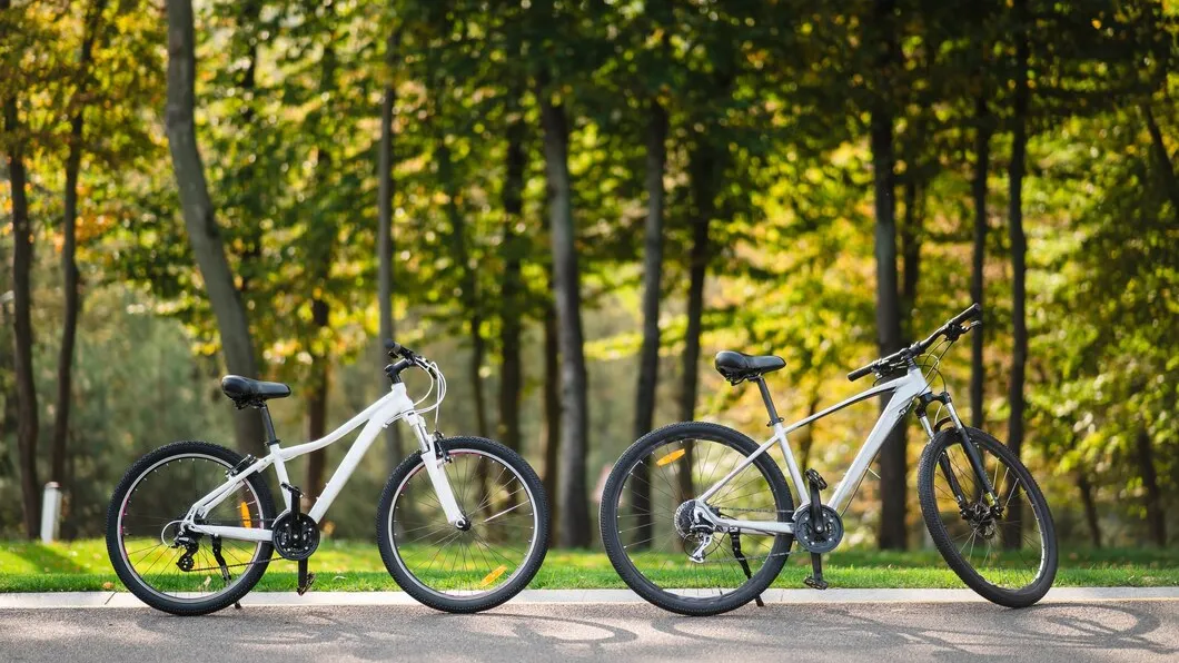 Фото: freepik.com