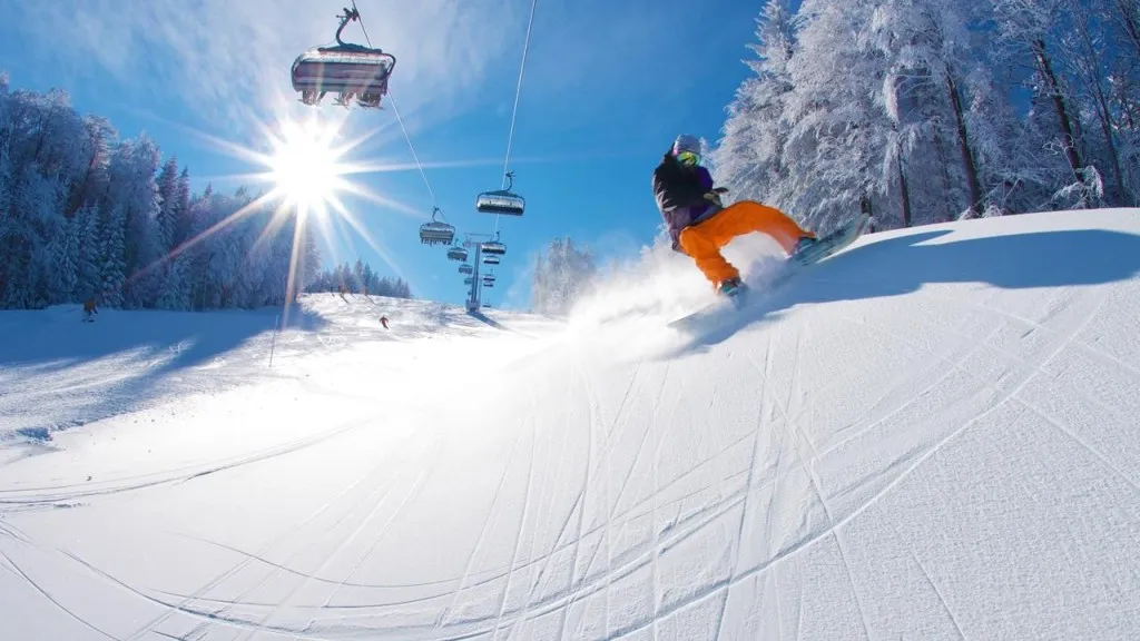 Фото: Министерство жилищной политики Московской области