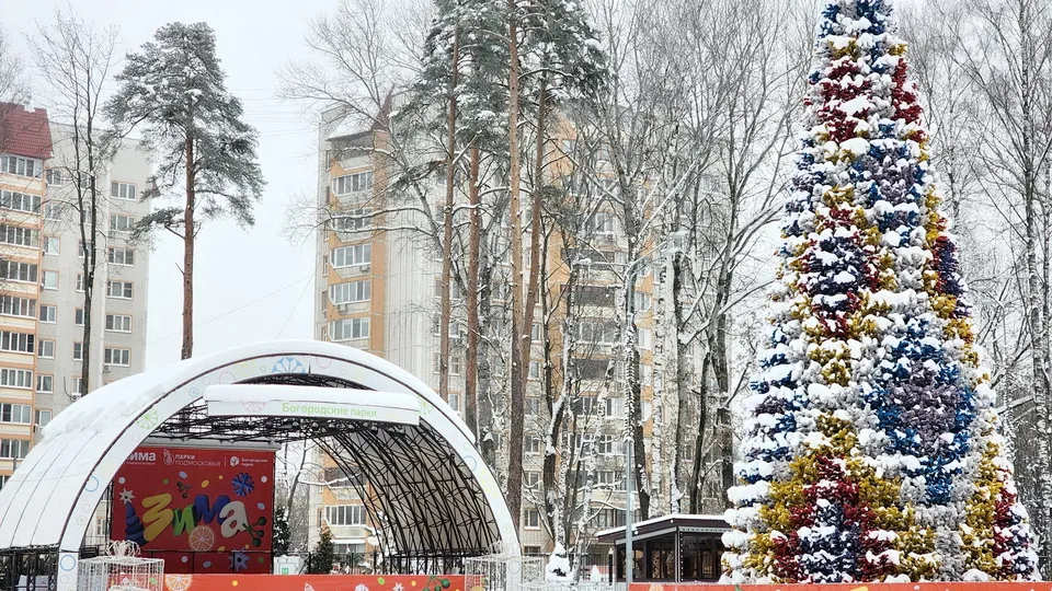 Фото: МедиаБанк Подмосковья/Ольга Аввакумова