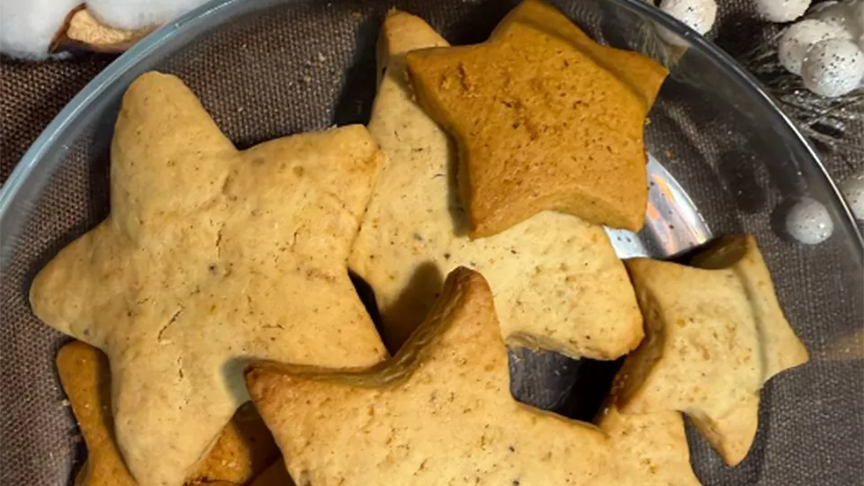 Фото: REGIONS/Елена Фурман