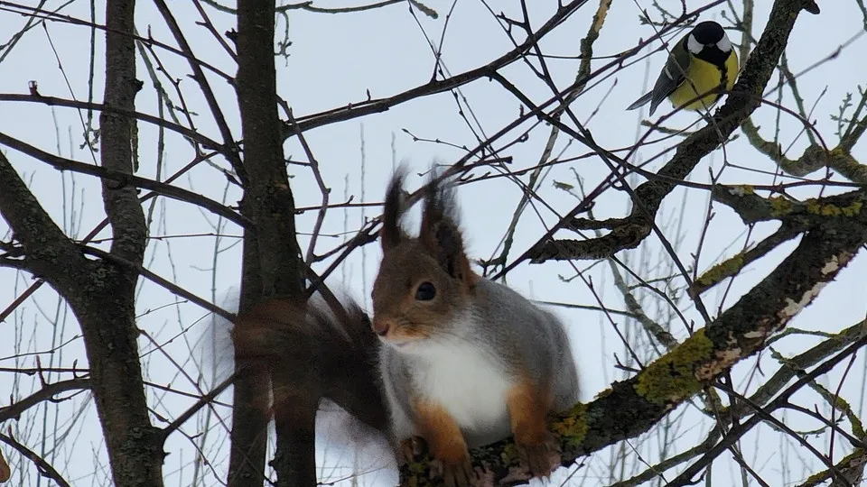 Фото: МедиаБанк Подмосковья/Валентина Максимова