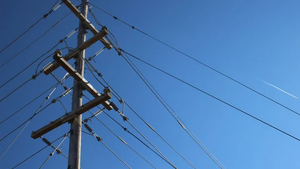 Фото: pxhere.com