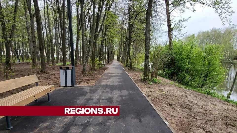 Фото: пресс-служба администрации городского округа Луховицы