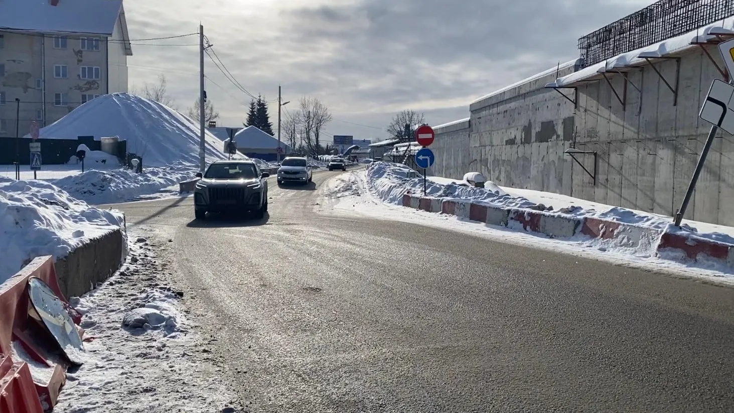 Анна Артюшина