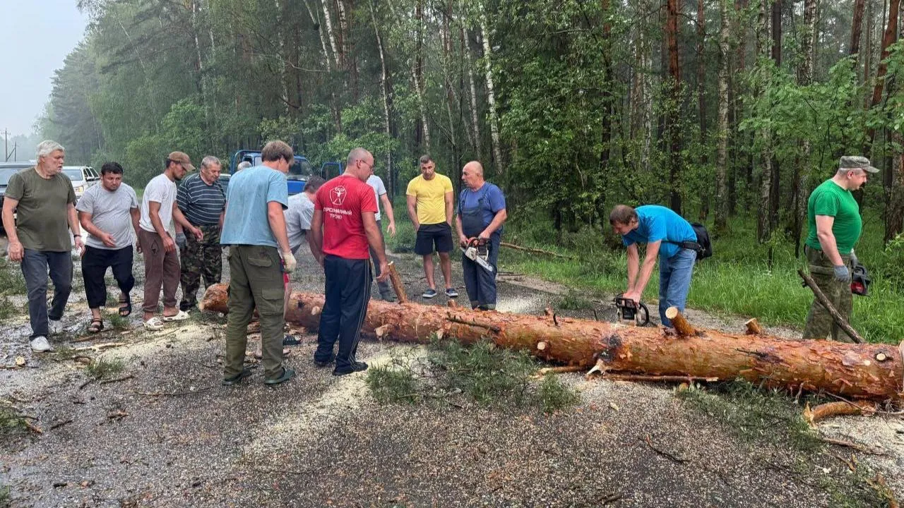 Последствия урагана устранили в Серпухове