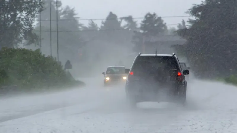 Фото: istockphoto.com/OLENA SAKHATSKA