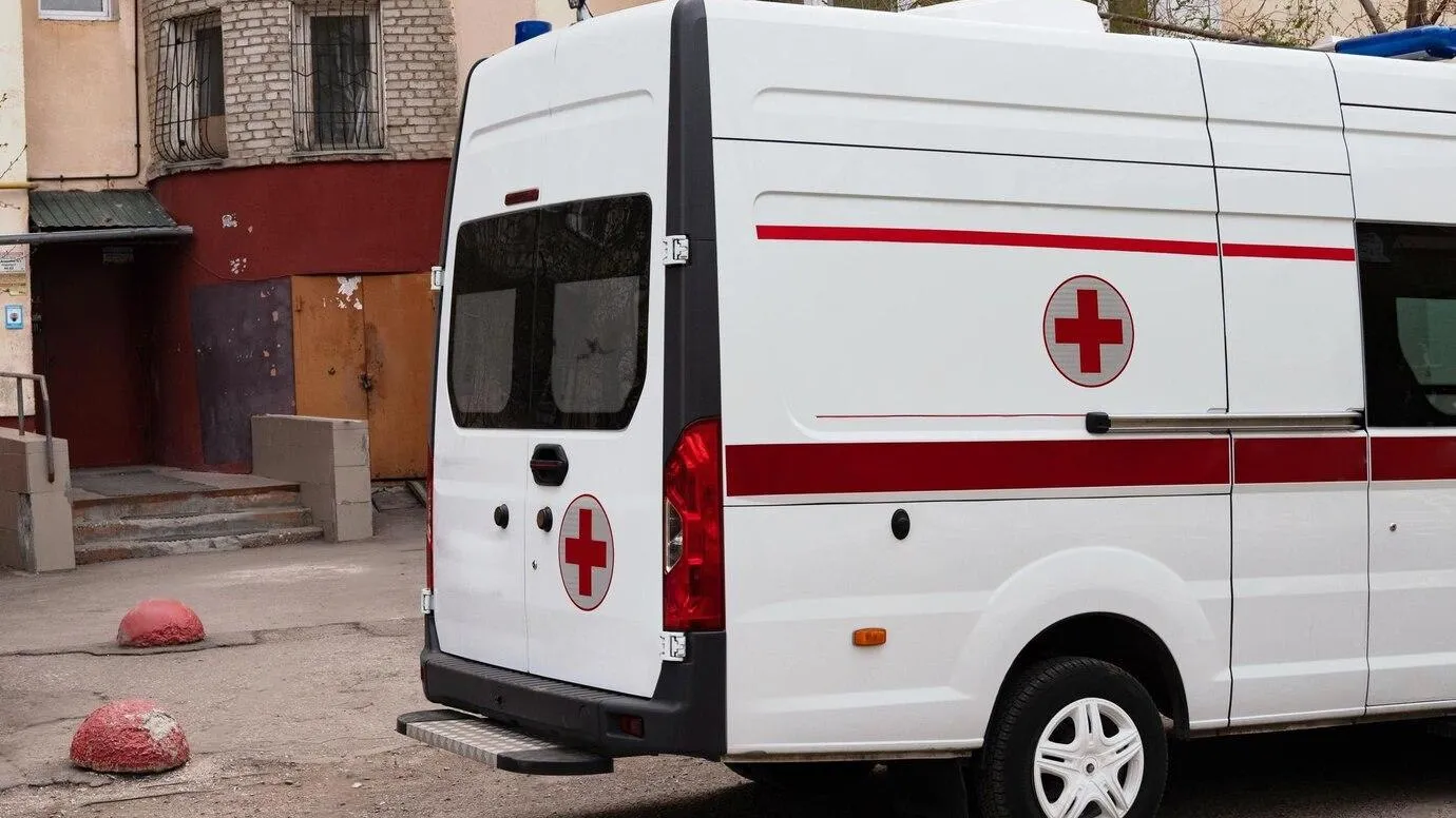 Фото: Медиасток Подмосковья