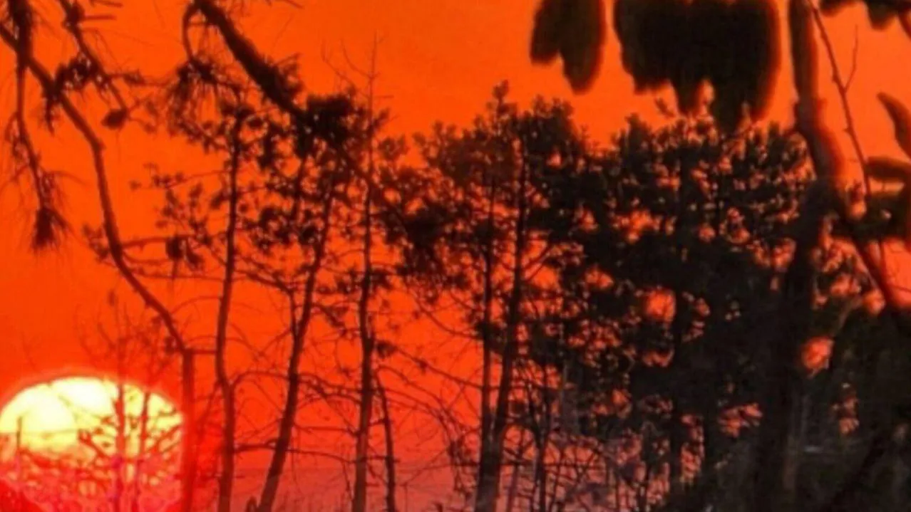 REGIONS/Анастасия Широкая