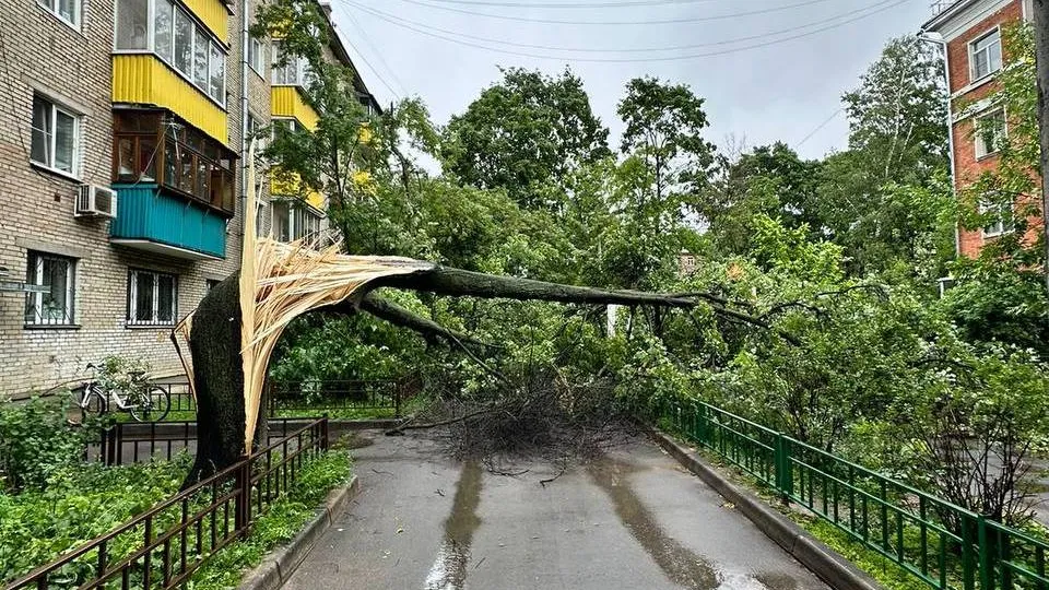 Фото: социальные сети