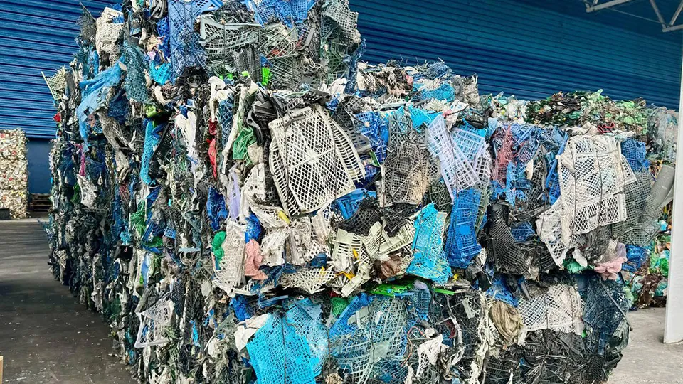 Фото: Минчистоты Московской области