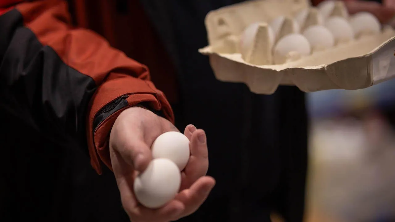 Яйца станут доступнее — но только после определенного рубежа: эксперт объяснила, какой фактор запустит снижение цен