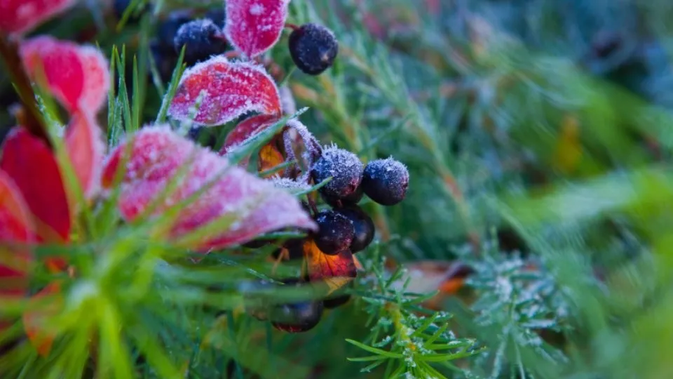 Фото: REGIONS/Владимир Ерастов