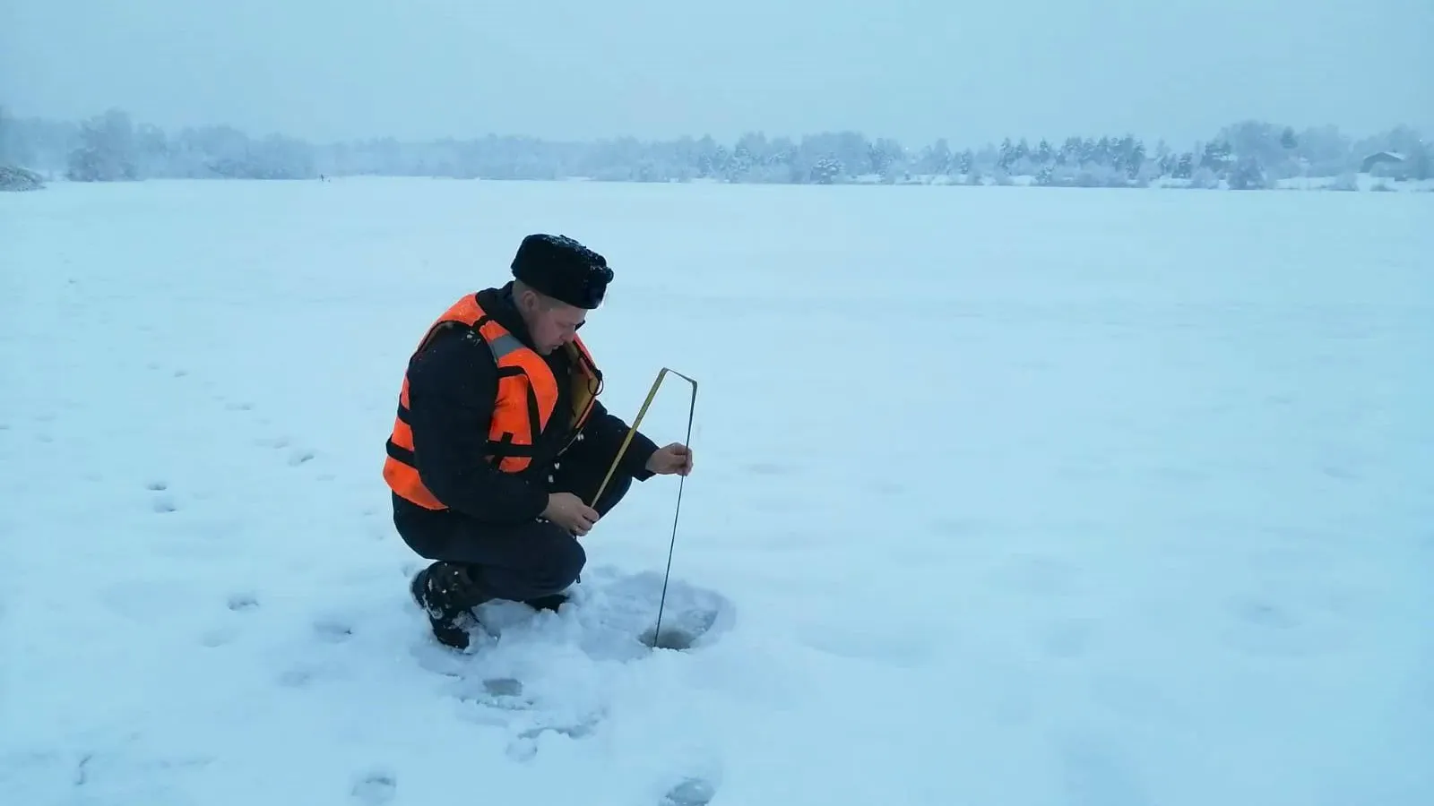 ГКУ МО «Мособлпожспас»