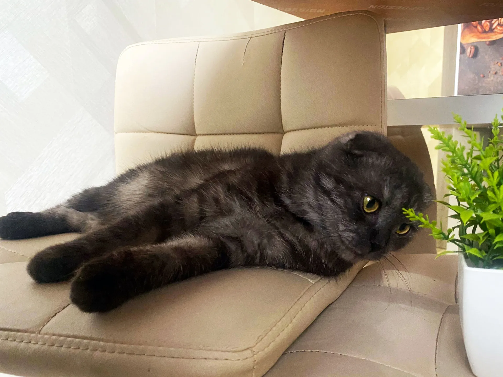 Фото: из архива Юлии Дьячковой